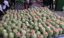 娱乐新鲜事吃瓜,揭秘明星幕后故事