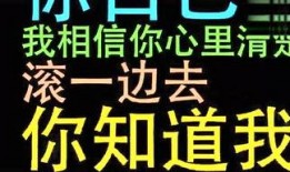 百态爆料视频大全免费观看,免费观看视频大全揭秘世间百态